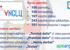 100 pamok? ? laisv? angl? kalb?
